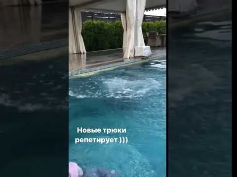 Нажми и смотри Нажми и смотри