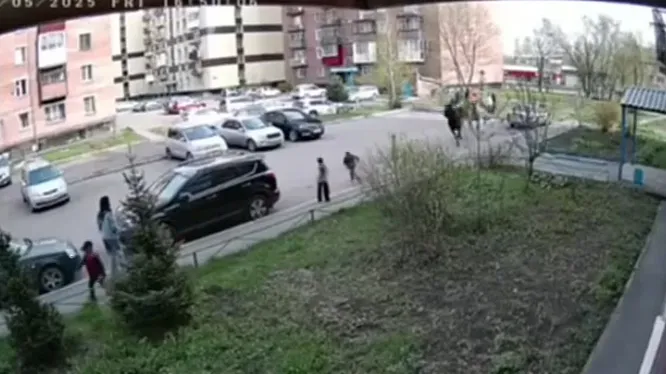 Нажми и смотри Нажми и смотри