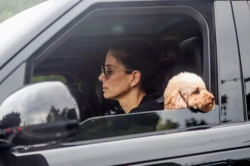 Сандру Буллок заметили папарацци Сандру Буллок заметили папарацци