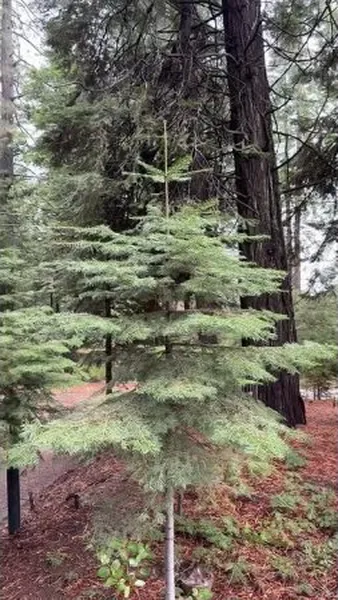 Нажми и смотри