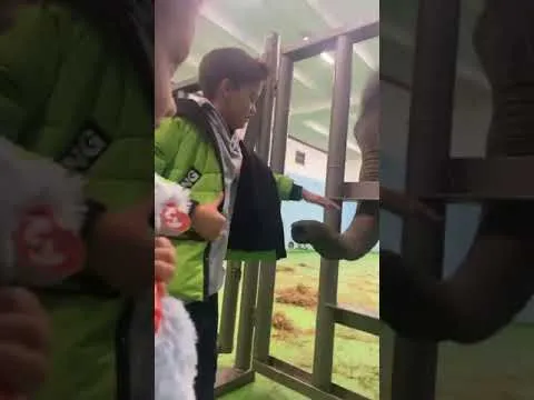 Нажми и смотри Нажми и смотри