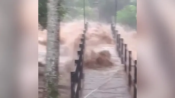 Нажми и смотри