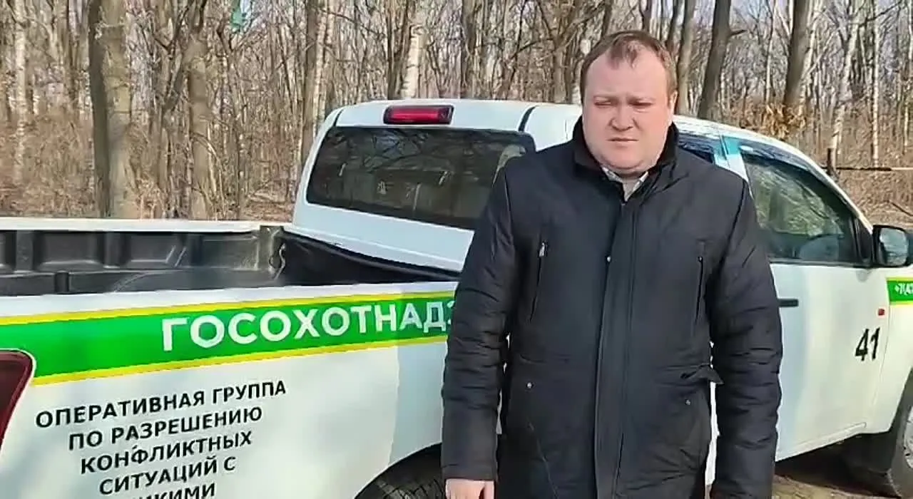 Нажми и смотри Нажми и смотри