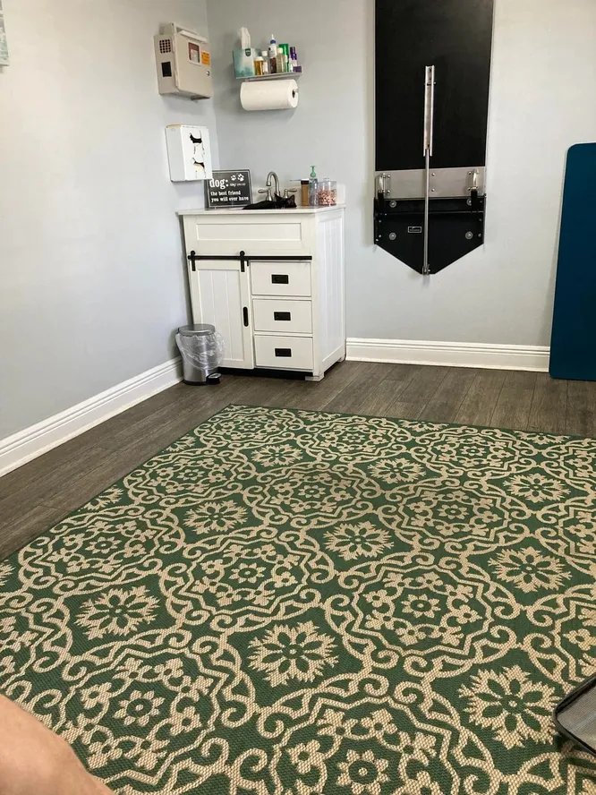 Observation test: Find the cat in the photo!