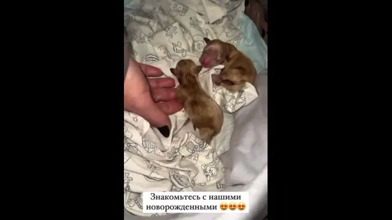 Нажми и смотри Нажми и смотри