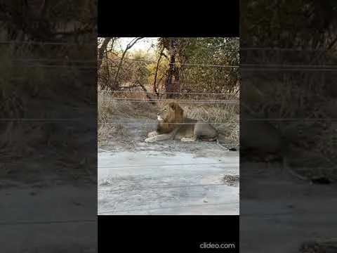 Нажми и смотри