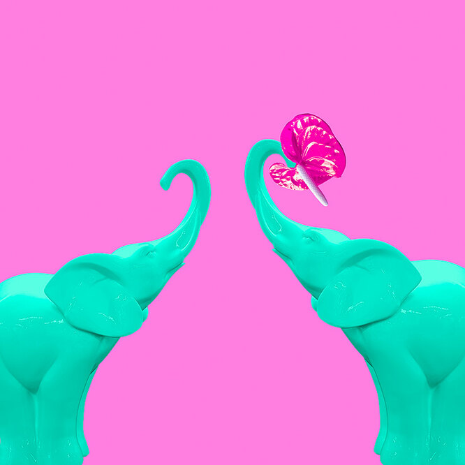 “Honey, you can’t take it anymore”: where does sex disappear from a relationship “Honey, you can’t take it anymore”: where does sex disappear from a relationship