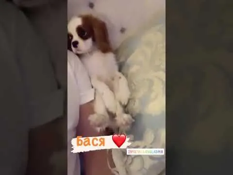 Нажми и смотри