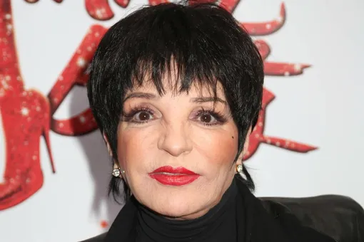 «Я явно была не в себе, когда выходила замуж»: Лайза Миннелли раскрыла шокирующие подробности личной жизни «Я явно была не в себе, когда выходила замуж»: Лайза Миннелли раскрыла шокирующие подробности личной жизни