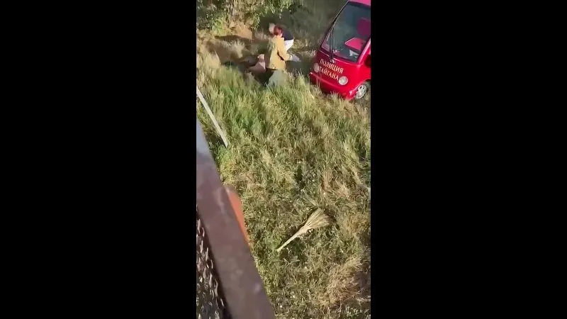 Нажми и смотри Нажми и смотри