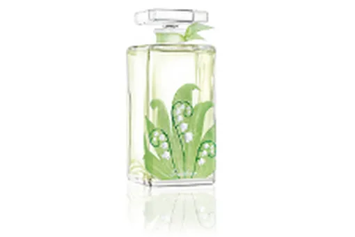Muguet: талисман, приносящий счастье Muguet: талисман, приносящий счастье