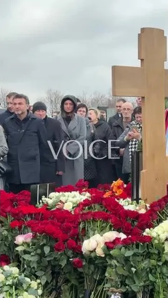 Нажми и смотри