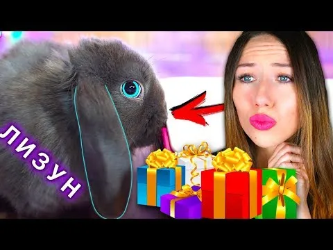 Нажми и смотри Нажми и смотри
