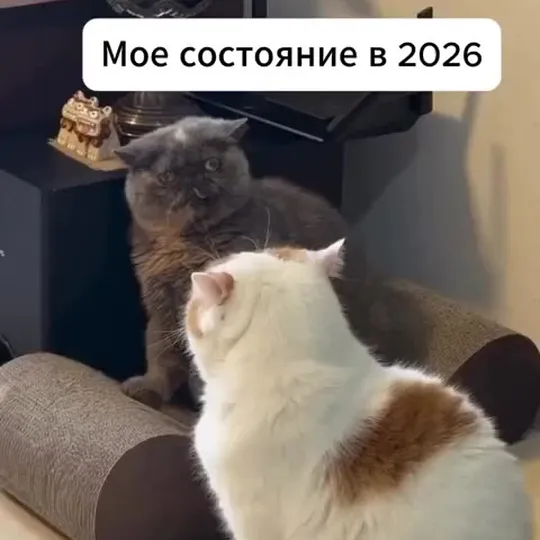 Нажми и смотри