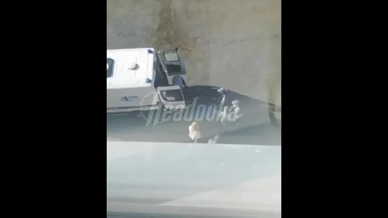 Нажми и смотри Нажми и смотри