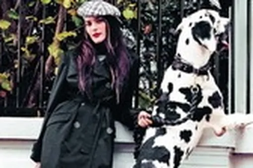 Давай без обид Давай без обид