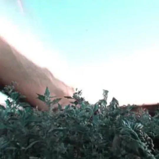 Нажми и смотри