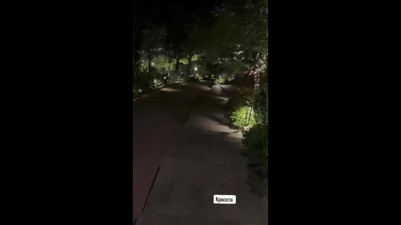 Нажми и смотри