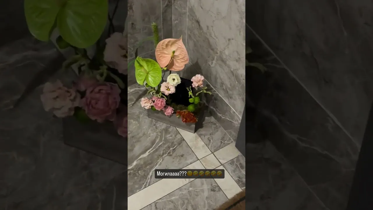 Нажми и смотри Нажми и смотри
