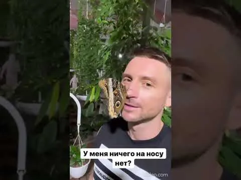 Нажми и смотри Нажми и смотри
