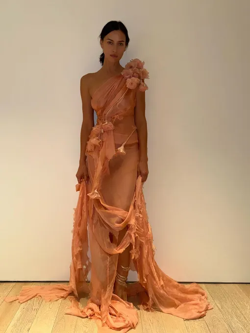 Ирина Шейк в прозрачном платье