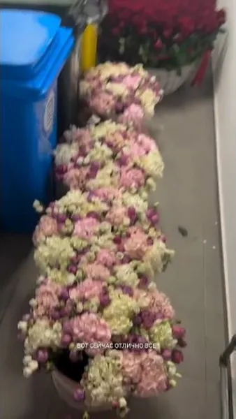 Нажми и смотри