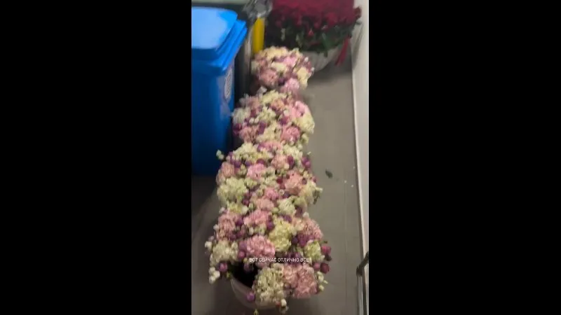Нажми и смотри Нажми и смотри