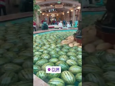 Нажми и смотри Нажми и смотри