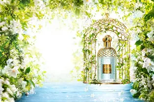 Guerlain добавили новый аромат в линейку Aqua Allegoria Guerlain добавили новый аромат в линейку Aqua Allegoria