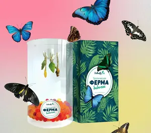 Ферма бабочек Ферма бабочек