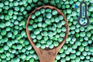 Как правильно заморозить салат, горошек и шампиньоны Как правильно заморозить салат, горошек и шампиньоны