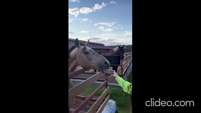 Нажми и смотри