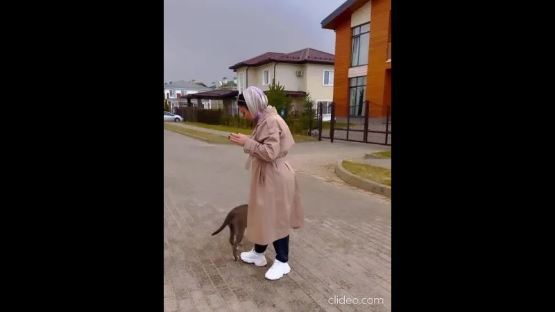 Нажми и смотри