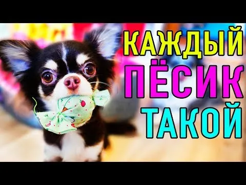 Нажми и смотри Нажми и смотри