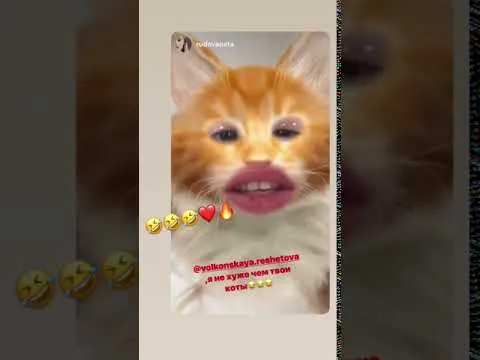 Нажми и смотри