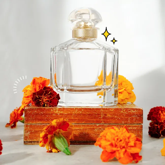 Кедр, мох и не только: ищи эти 5 главных нот в парфюме на осень