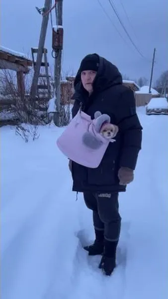 Нажми и смотри