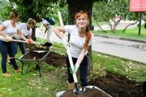 Красота в помощь миру Красота в помощь миру