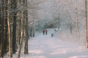 Смартфон, ноутбук, гаджеты для умного дома, расходники для авто: дайджест новинок техники и технологий