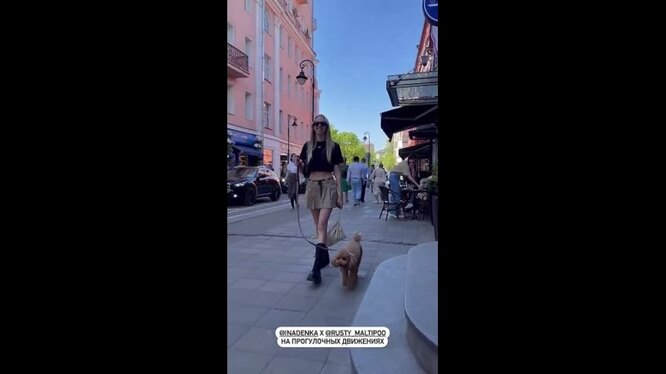 Камеди клаб путин и гадалка. Евгений бондаренко камеди вумен. Путин пришел к гадалке камеди вумен. Камеди вумен психолог. Comedy woman - на приеме у психолога.