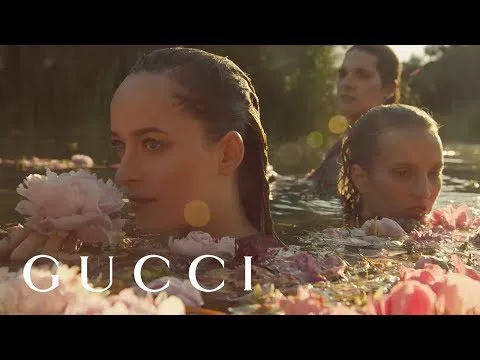 Нажми и смотри