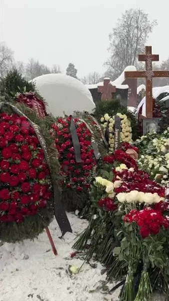 Нажми и смотри