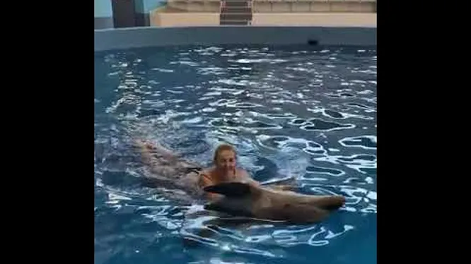Нажми и смотри
