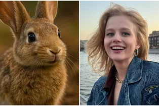 Щенок, лиса или динозавр: найди свой идеальный макияж по системе animal face Щенок, лиса или динозавр: найди свой идеальный макияж по системе animal face