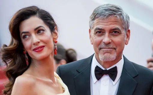 Fotodom / Rex Features