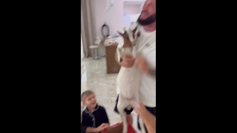 Нажми и смотри Нажми и смотри
