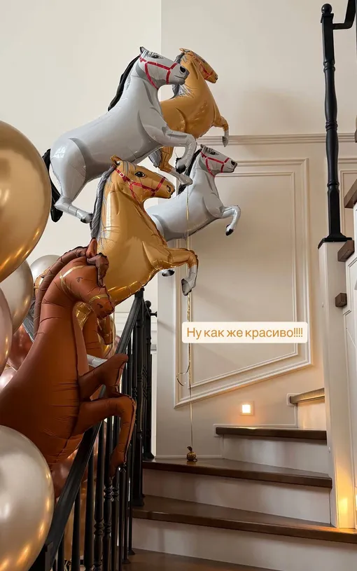 Агата Муцениеце заказала в дом воздушных лошадей