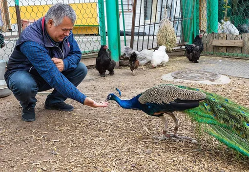Андрей Горбань многое сделал для развития красноярского зоопарка