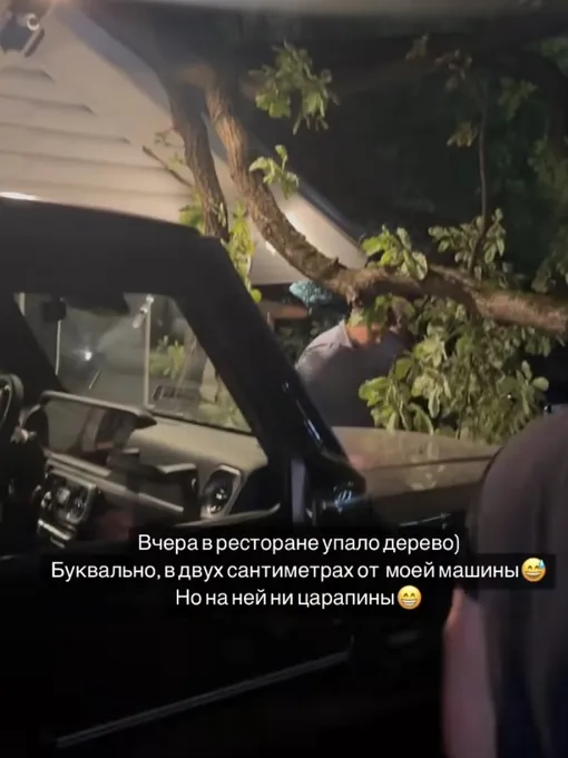 Массивное дерево упало в двух сантиметрах от машины Люси Чеботиной Массивное дерево упало в двух сантиметрах от машины Люси Чеботиной