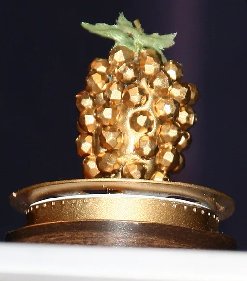 Награда «Золотая малина» Награда «Золотая малина»